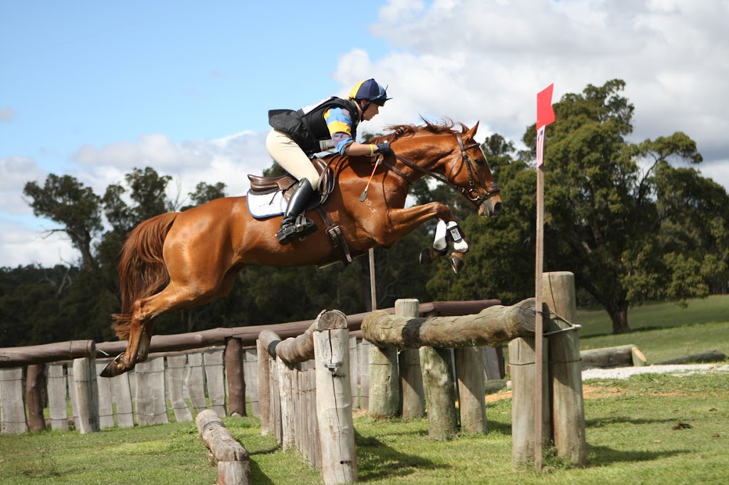 Sophie Warren Equestrian | 1510 Anketell Rd, Mount Helena WA 6082, Australia | Phone: 0418 117 383