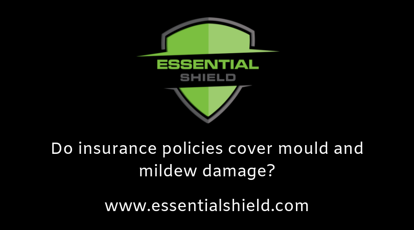 Essential Shield Gold | 206 Tierney Dr, Currumbin Waters QLD 4223, Australia | Phone: 0480 020 032