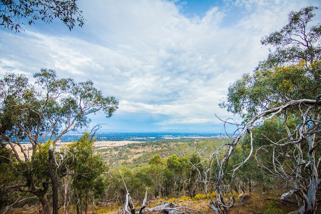 Warby Tower Lookout | Coxs Rd, Killawarra VIC 3678, Australia | Phone: 13 19 63
