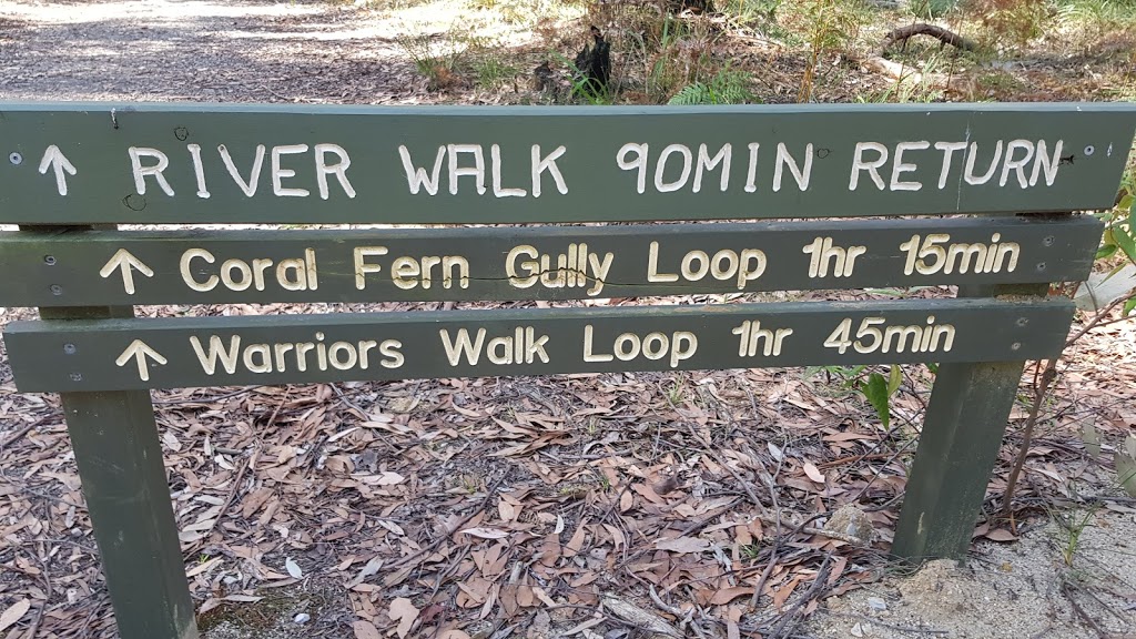 Lyrebird Forest Walk Carpark | Unnamed Road, Mirboo North VIC 3871, Australia