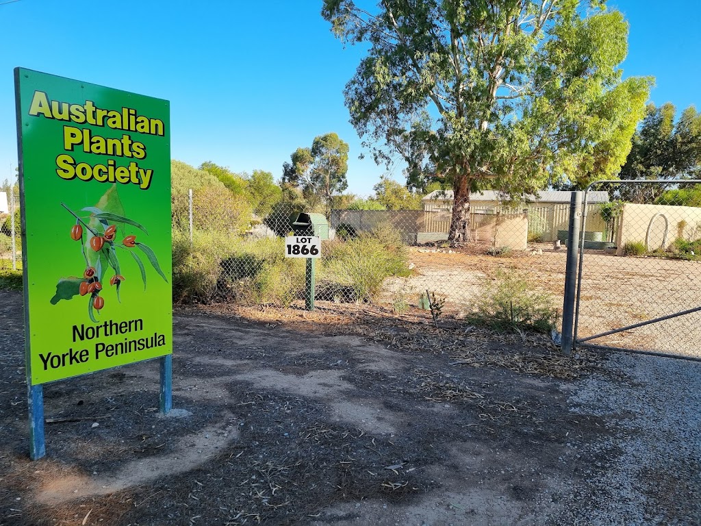 Australian Plant Society Northern Yorke Peninsula |  | South Terrace Lot, 1866, Kadina SA 5554, Australia | 0427213044 OR +61 427 213 044