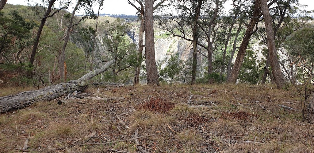 Wollomombi Falls Picnic Area | Wollomombi Falls Rd, Hillgrove NSW 2350, Australia | Phone: 1300 072 757