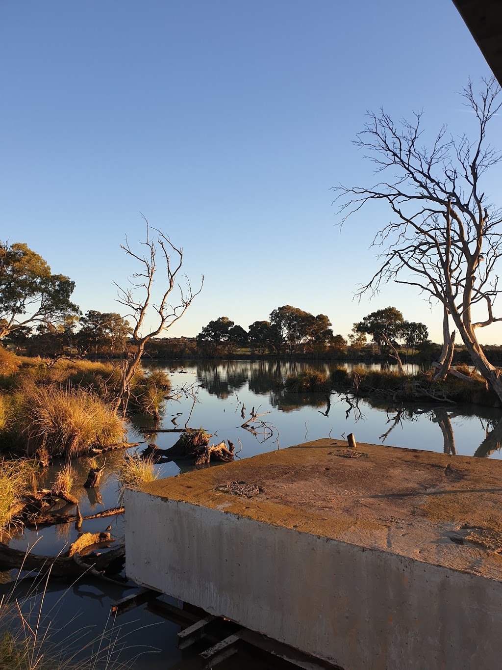 Swanport Wetlands | Boardwalk, Monteith SA 5253, Australia