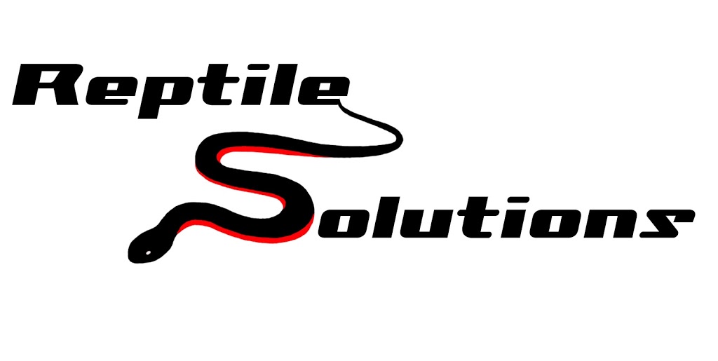 Reptile Solutions | home goods store | Port Macquarie NSW 2444, Australia | 0450430480 OR +61 450 430 480