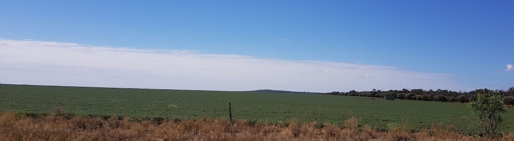 Mazeppa National Park | Frankfield QLD 4721, Australia | Phone: (07) 3170 5470