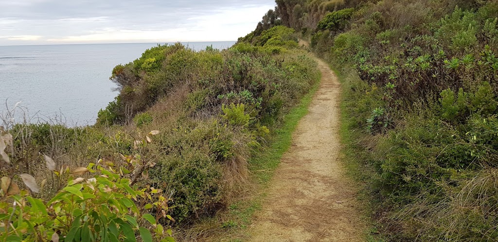 Scenic Lookout | 12 Great Ocean Rd, Port Campbell VIC 3269, Australia