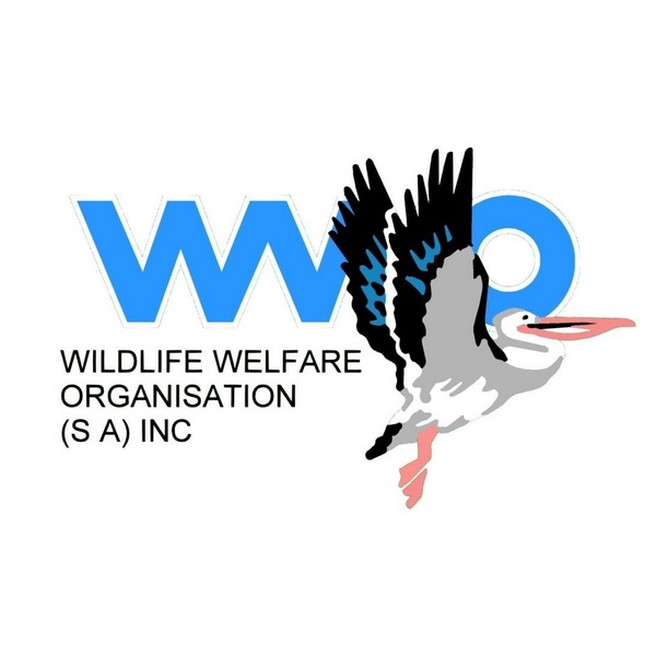 Wildlife Welfare Organisation (SA) inc | Kessell Rd, Goolwa SA 5214, Australia | Phone: 0434 114 628