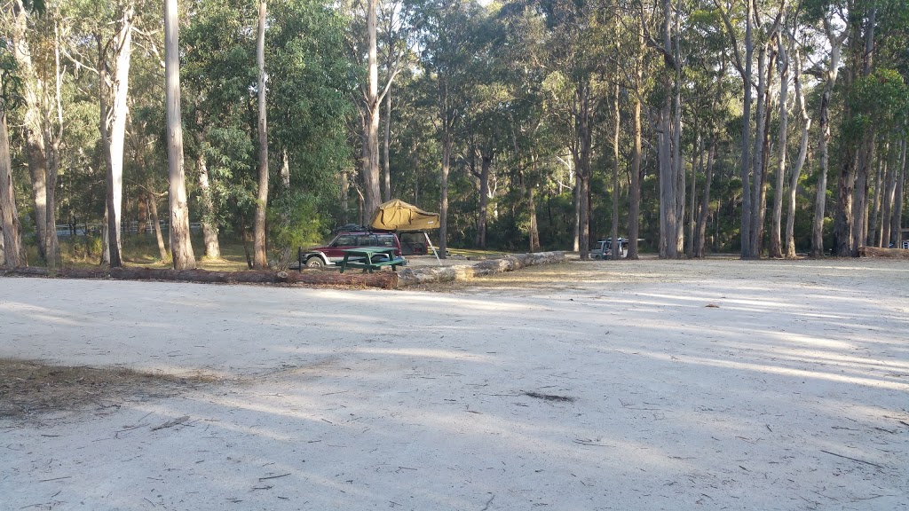 Scrubby Creek Forest Rest Area | campground | Narrabarba NSW 2551, Australia