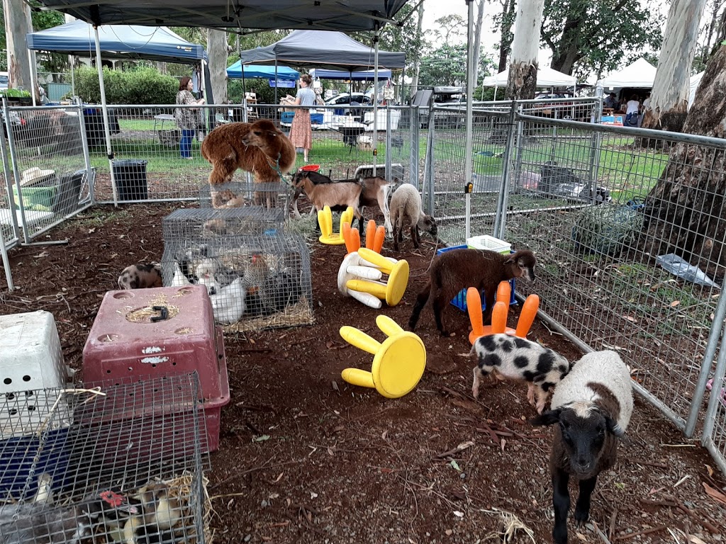 Tamborine Mountain Country Markets | 386-398 Main Western Rd, Tamborine Mountain QLD 4272, Australia | Phone: 0417 618 379