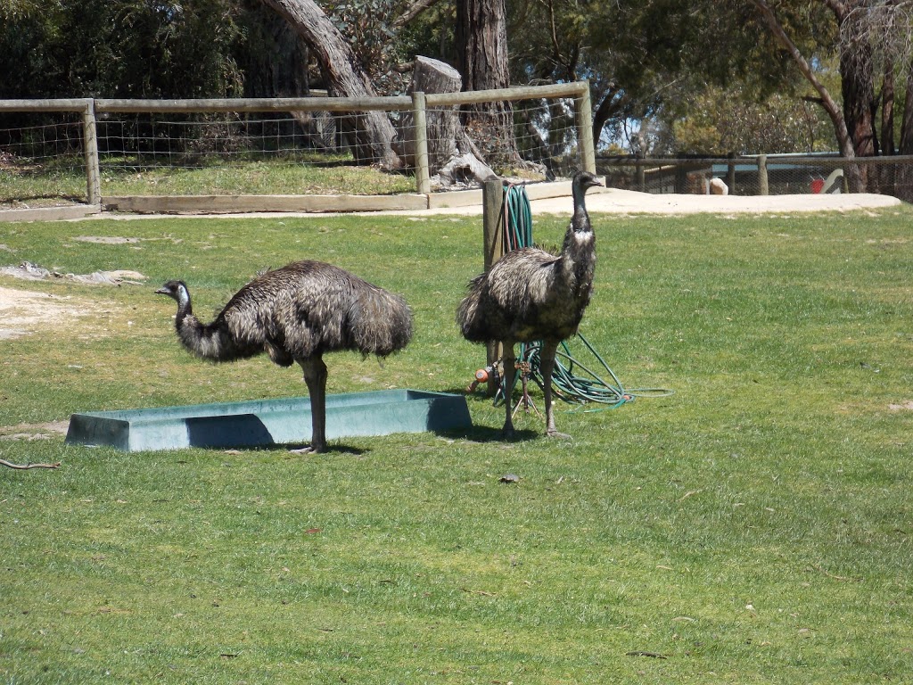 Wildlife Park | park | Ballarat East VIC 3350, Australia