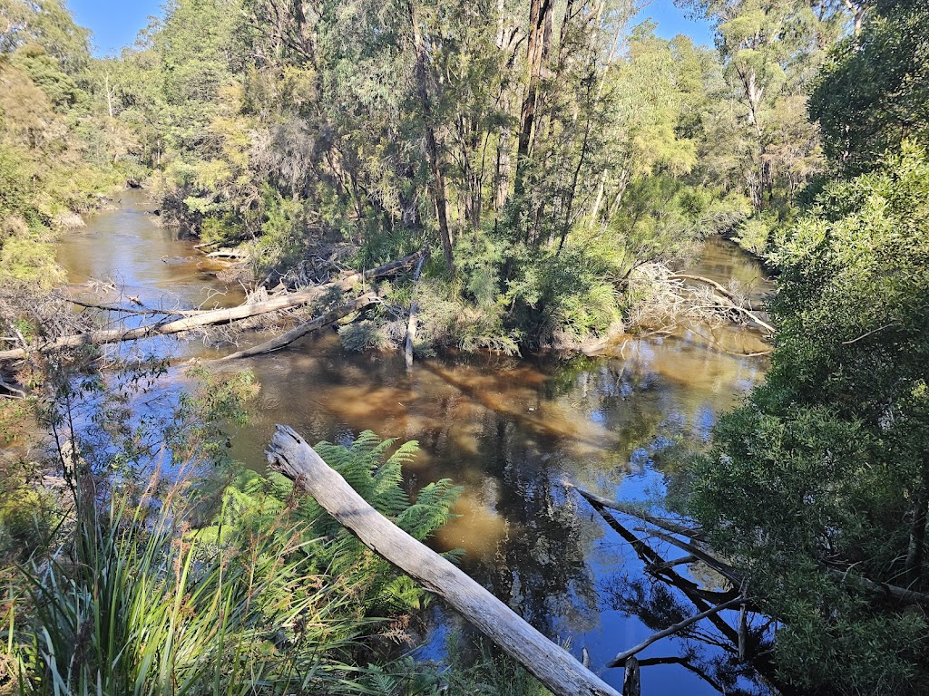 The Hammock Farm | 135 Delpretes Rd, Caringal VIC 3825, Australia | Phone: 0412 220 596