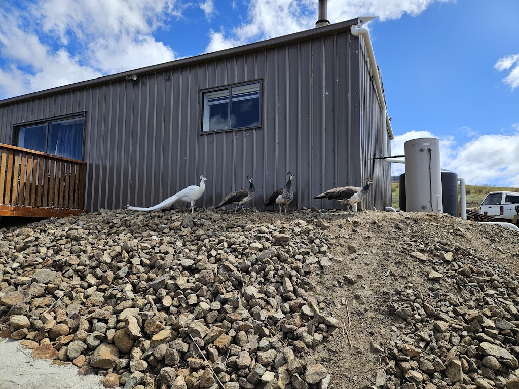 Eventide Sanctuary | 473 Sugarloaf Rd, Carlton River TAS 7173, Australia | Phone: 0456 748 170 Eventide Sanctuary | 473 Sugarloaf Rd, Carlton River TAS 7173, Australia | Phone: 0456 748 170