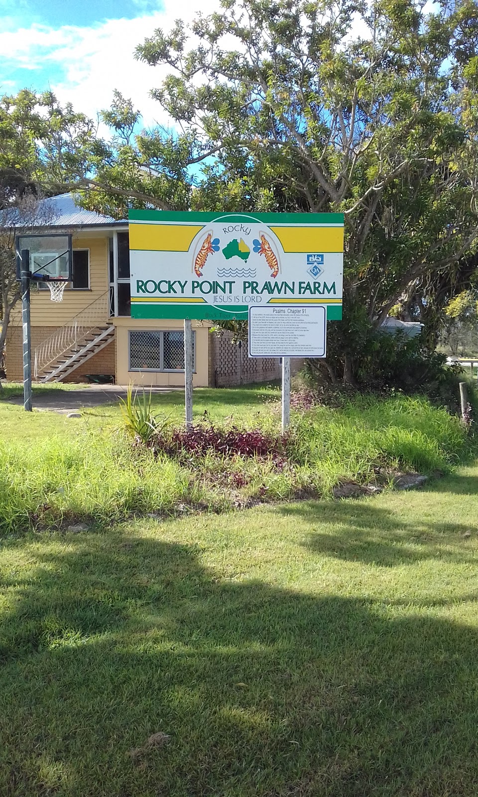 Rocky Point Aquaculture |  | Rocky Point Rd, Woongoolba QLD 4207, Australia | 0755461588 OR +61 7 5546 1588