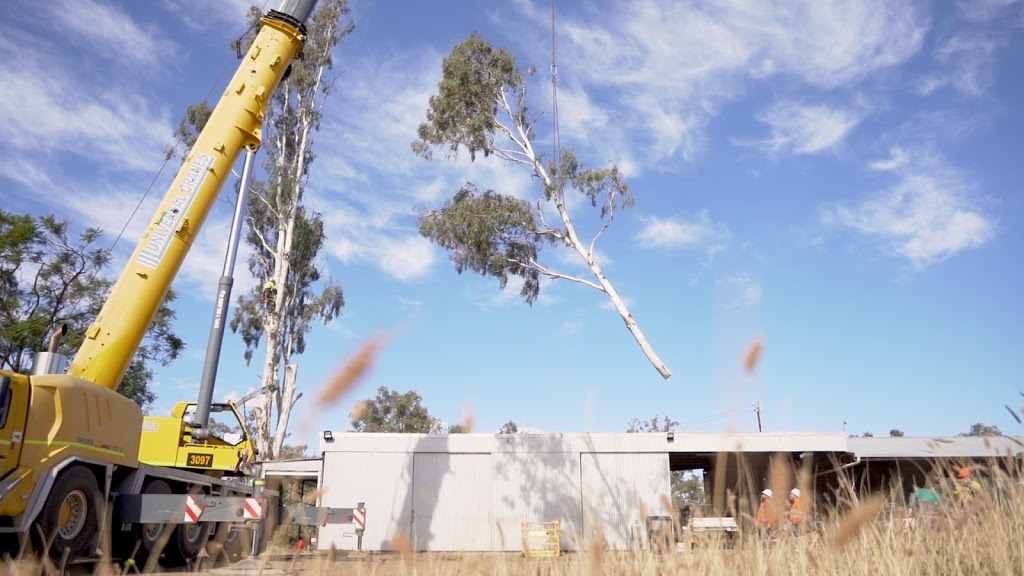 Cut Above Tree Care | 2 Queen St, Roma QLD 4455, Australia | Phone: 0412 303 650