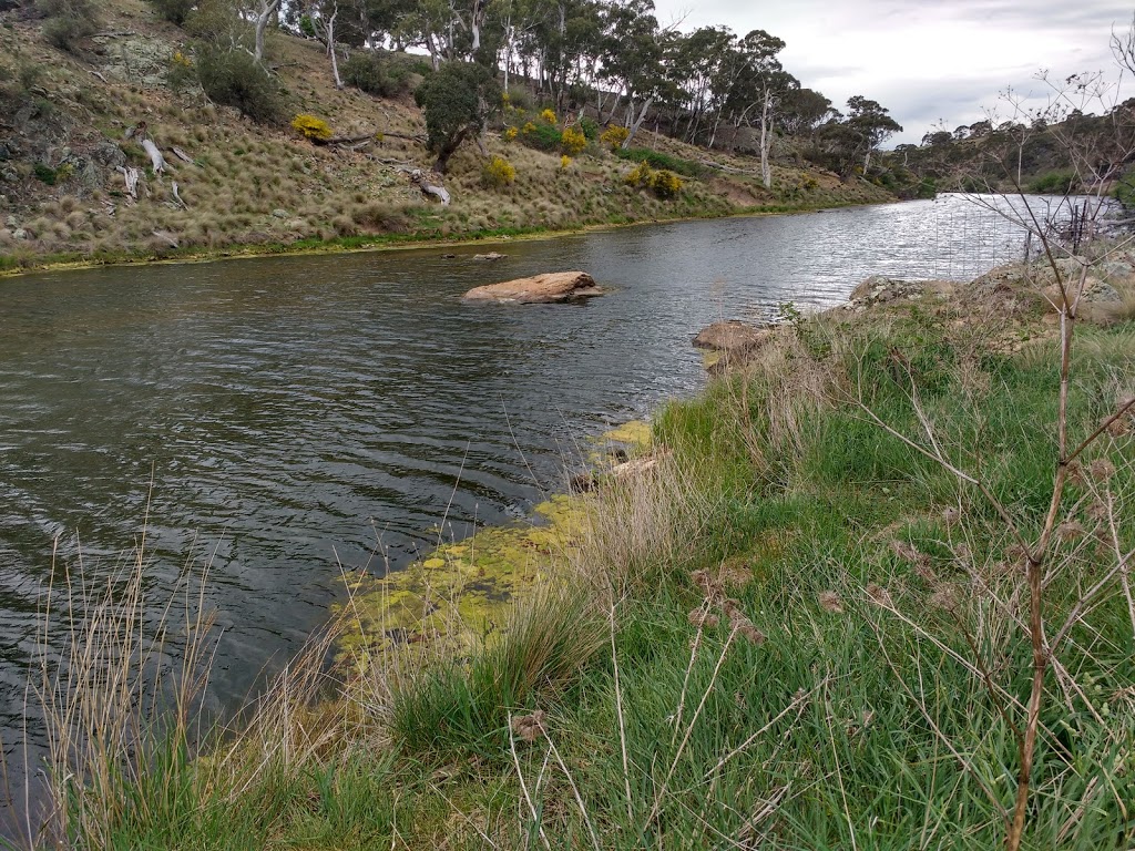 Bombala Platypus Reserve | park | Delegate Rd, Bombala NSW 2632, Australia | 0264584622 OR +61 2 6458 4622