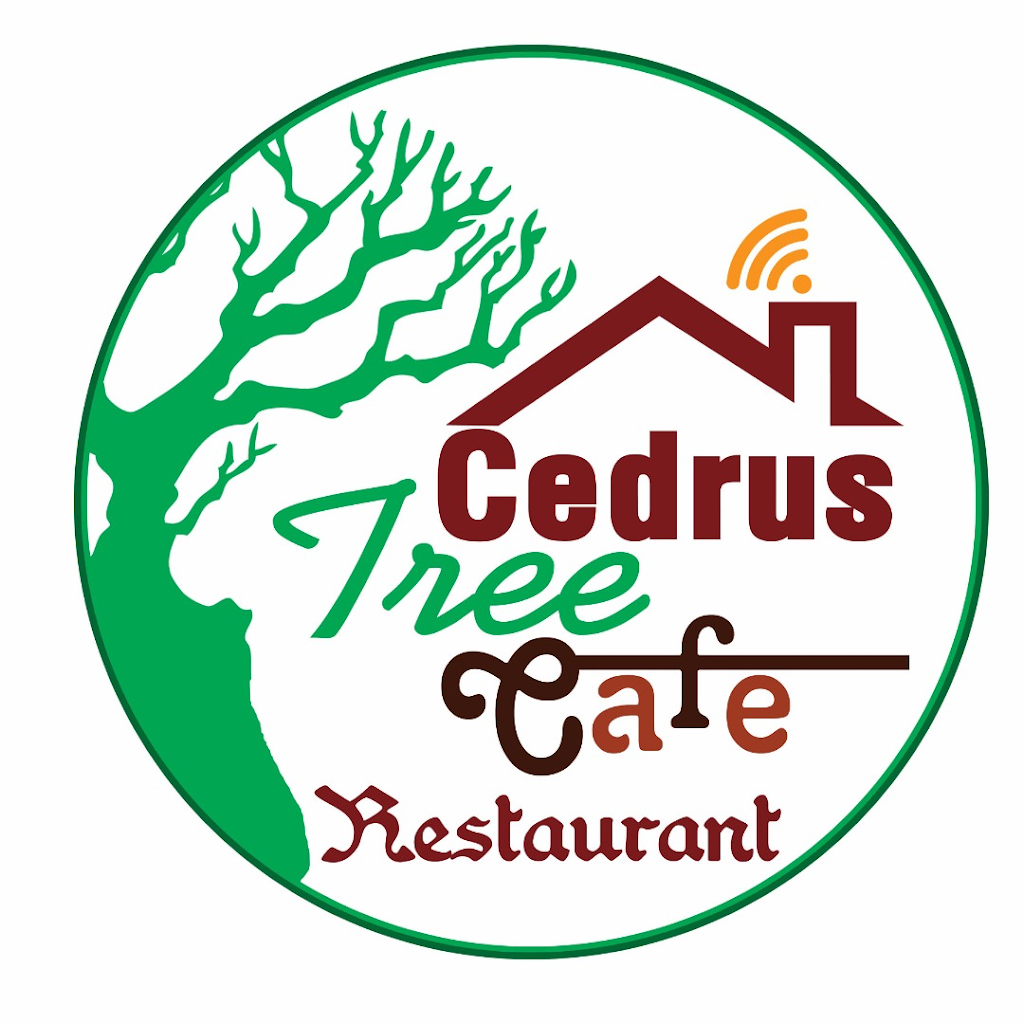 CEDRUS TREE CAFE BAR & RESTAURENT | restaurant | 1381 Eumundi Noosa Rd, Eumundi QLD 4562, Australia | 0754427070 OR +61 7 5442 7070