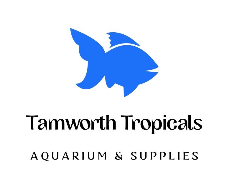 Tamworth Tropicals | pet store | 3/88 Calala Ln, Calala NSW 2340, Australia | 0267657965 OR +61 2 6765 7965