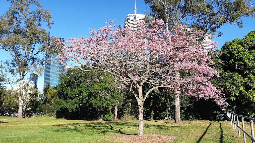 James Warner Park | park | 33 Annie St, Kangaroo Point QLD 4169, Australia