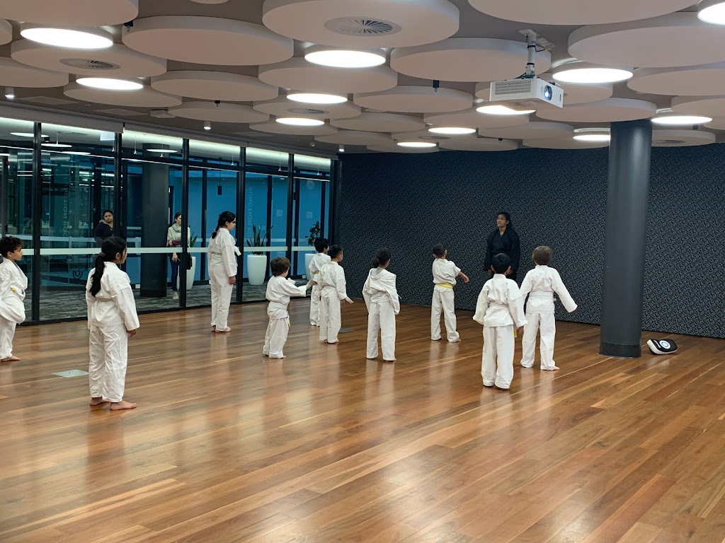 Shirkka Martial Arts | health | 55 Ansell St, Marsden Park NSW 2765, Australia | 0459131610 OR +61 459 131 610