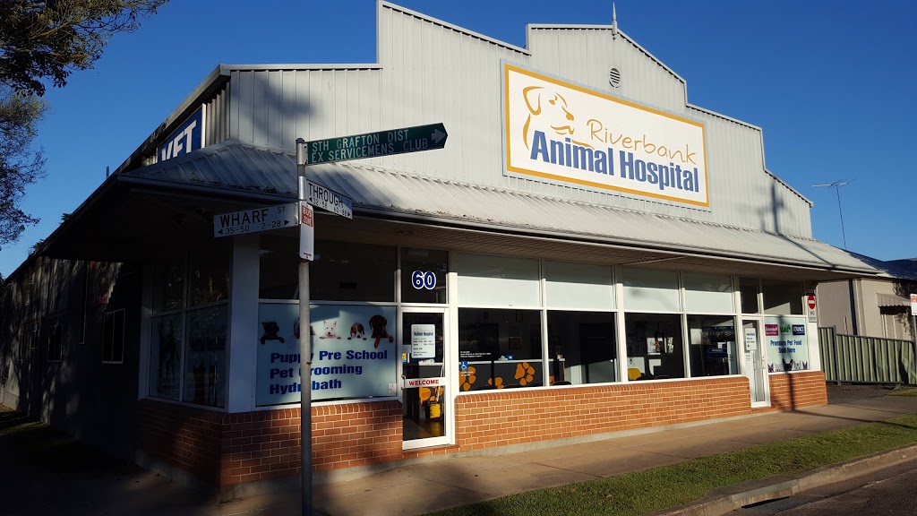 Riverbank Animal Hospital | veterinary care | 60 Through St, South Grafton NSW 2460, Australia | 0266423083 OR +61 2 6642 3083