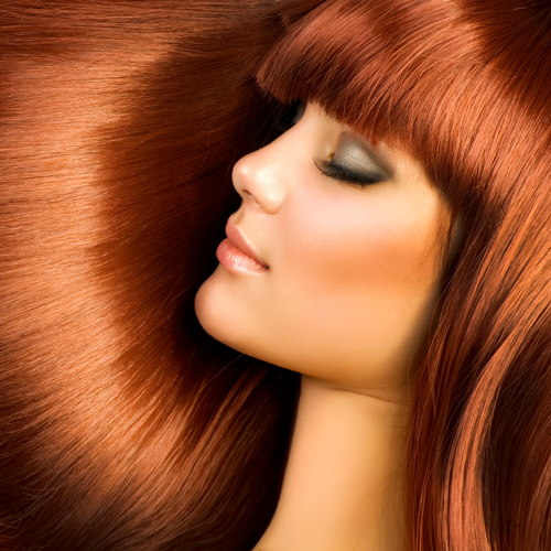 SoCal Salon | 22 Ashmore Rd, Bundall QLD 4217, Australia | Phone: 0415 677 158