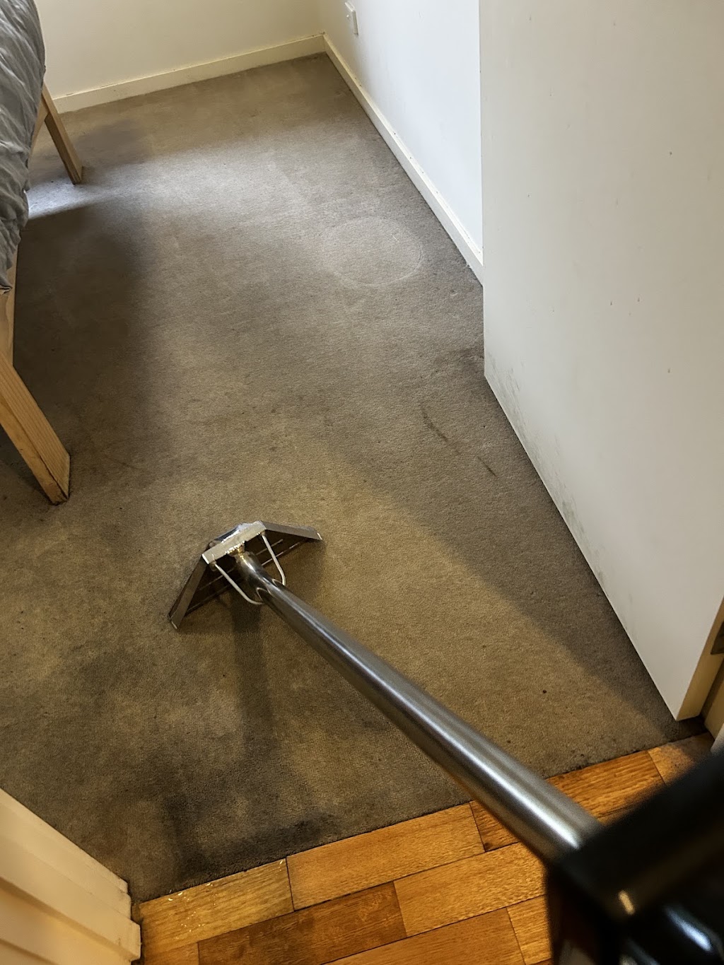 Clean Geniee Cleaning and Housekeeping Services | 4 Tennyson Ave, Clayton South VIC 3169, Australia | Phone: 0468 448 704