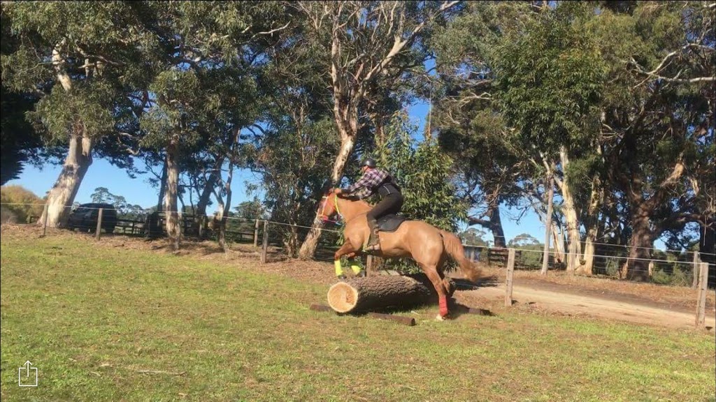 Hidden Rivers Horse Agistment & Laser Therapy | 621 Flaxley Rd, Bugle Ranges SA 5251, Australia | Phone: 0413 580 120