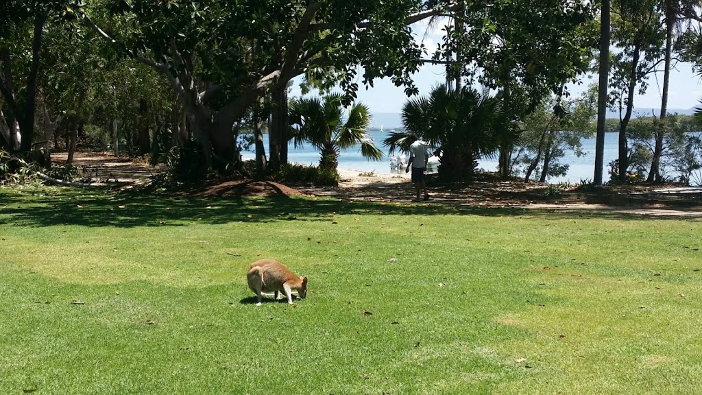 South Stradbroke Island Conservation Park | South Stradbroke QLD 4216, Australia