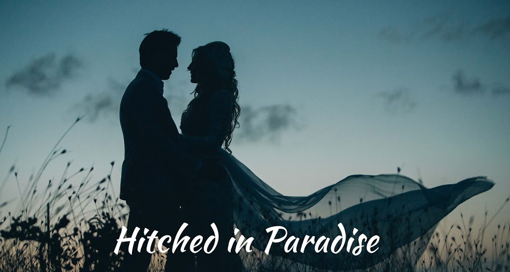 Hitched in Paradise | 33 Buckingham Dr, Pottsville NSW 2489, Australia | Phone: 0432 208 248