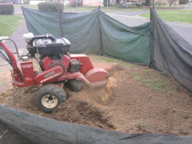 Affordable Stump Removals | general contractor | 2 High Sunderland Cres, Dromedary TAS 7030, Australia | 0427667790 OR +61 427 667 790