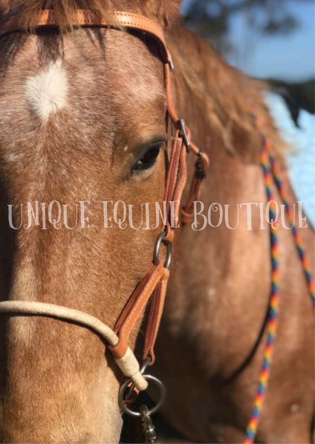 Unique Equine Boutique | S Gippsland Hwy, Tooradin VIC 3980, Australia | Phone: 0423 608 829
