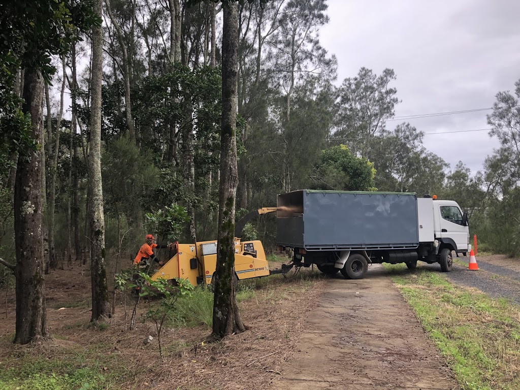 Silky Tree Care | 40 Foxs Ln, Tyagarah NSW 2481, Australia | Phone: 0423 640 529