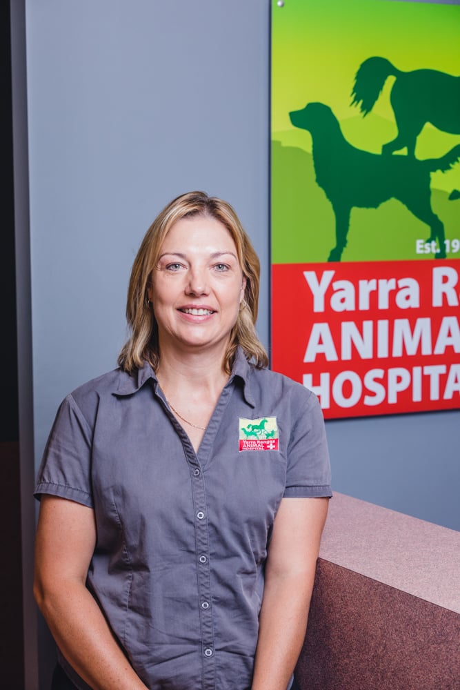 Yarra Ranges Animal Hospital | veterinary care | 484 Maroondah Hwy, Lilydale VIC 3140, Australia | 0397395244 OR +61 3 9739 5244
