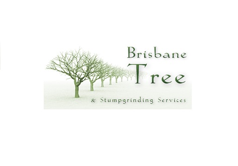 Brisbane Tree & Stumpgrinding Service |  | 95 Carinya St, Indooroopilly QLD 4068, Australia | 0738781458 OR +61 7 3878 1458