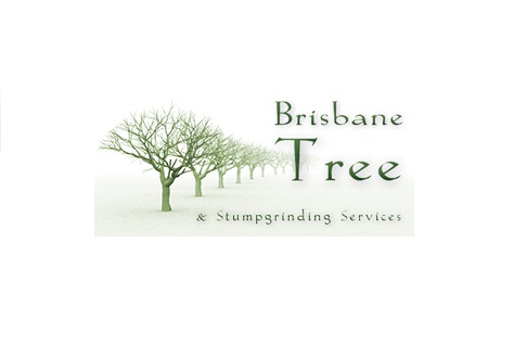 Brisbane Tree & Stumpgrinding Service | 95 Carinya St, Indooroopilly QLD 4068, Australia | Phone: (07) 3878 1458