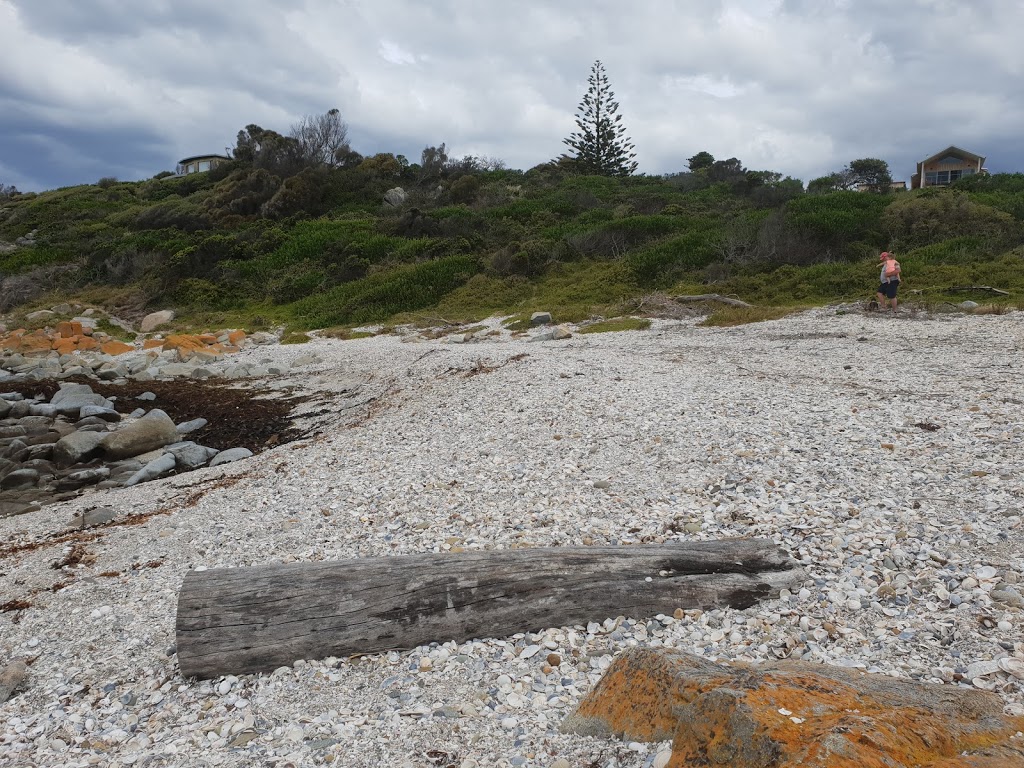 Scamander Conservation Area | Tasmania, Australia