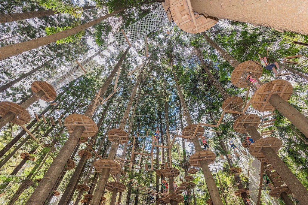 Treetops Adventure The Hills | Cumberland State Forest, 95 Castle Hill Rd, West Pennant Hills NSW 2126, Australia | Phone: (02) 9188 4051