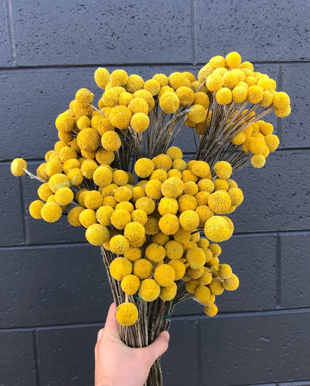 Just Flowers | 1/54 Browns Rd, Kingston TAS 7050, Australia | Phone: (03) 6227 2404