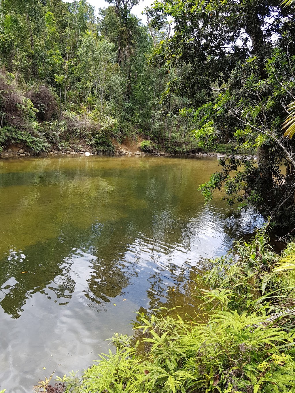 Walter Hill Range Conservation Park | Maadi QLD 4855, Australia