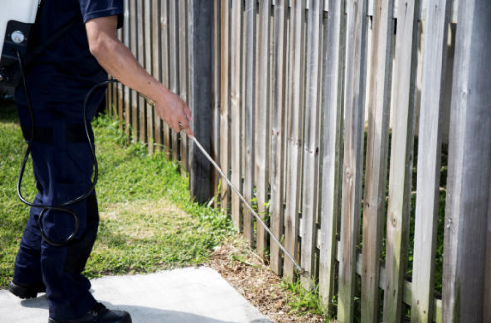 Beach and Bush Pest Control | Cowper St, Nelligen NSW 2536, Australia | Phone: 0438 645 105