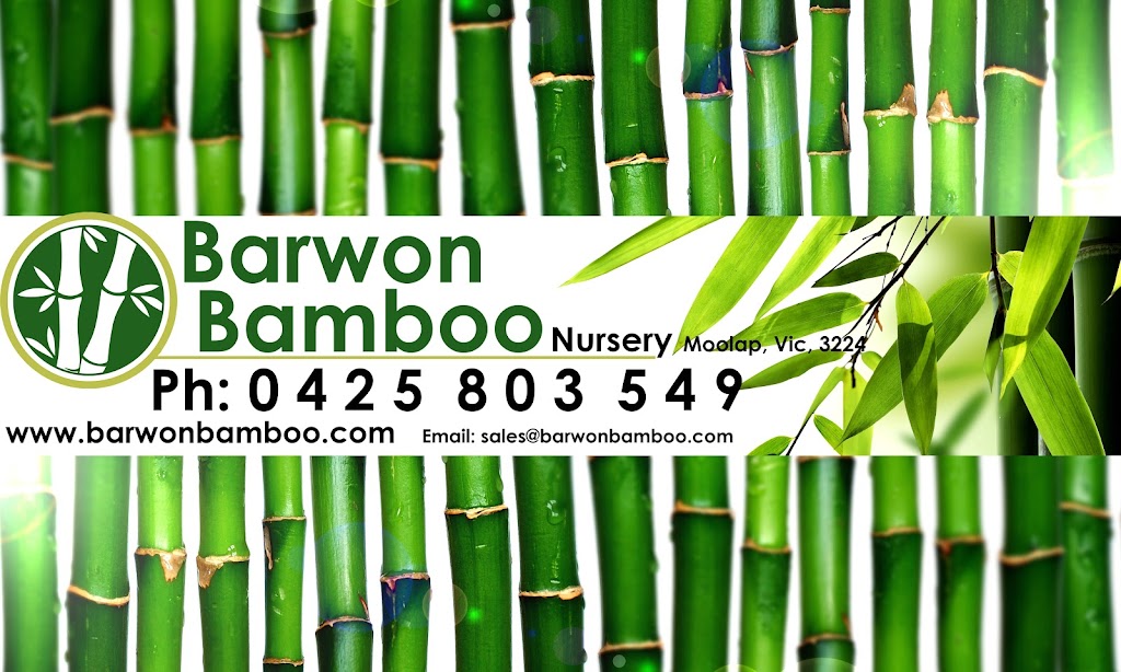 Barwon Bamboo Nursery- Appointment only | 392/400 Bellarine Hwy, Moolap VIC 3214, Australia | Phone: 0425 803 549