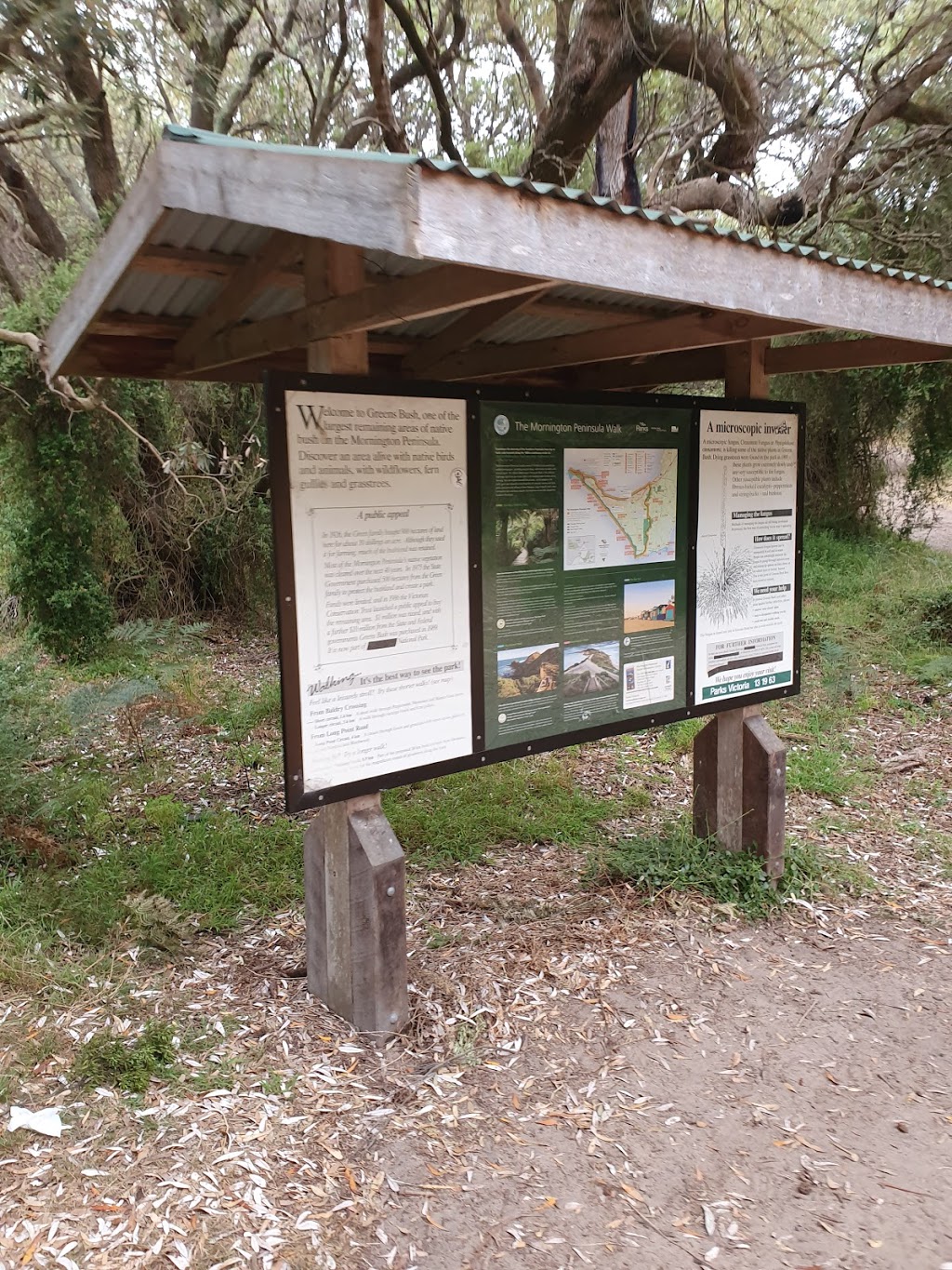 Bushrangers Bay Walking Track | park | Bushrangers Bay Walking Track, Cape Schanck VIC 3939, Australia