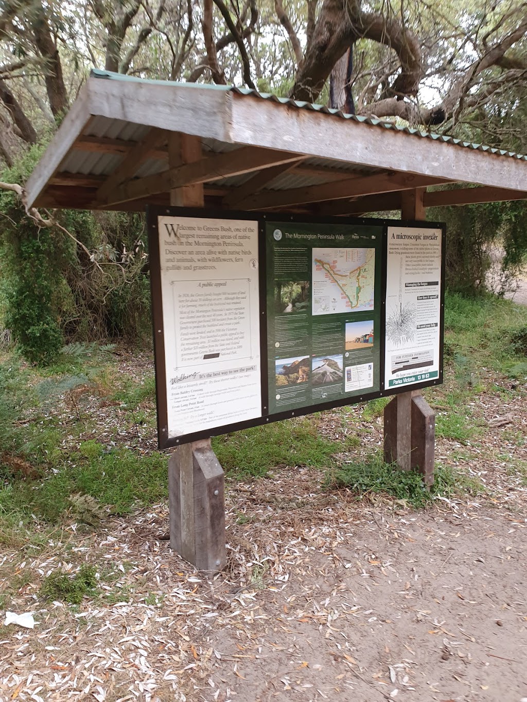 Bushrangers Bay Walking Track | Bushrangers Bay Walking Track, Cape Schanck VIC 3939, Australia