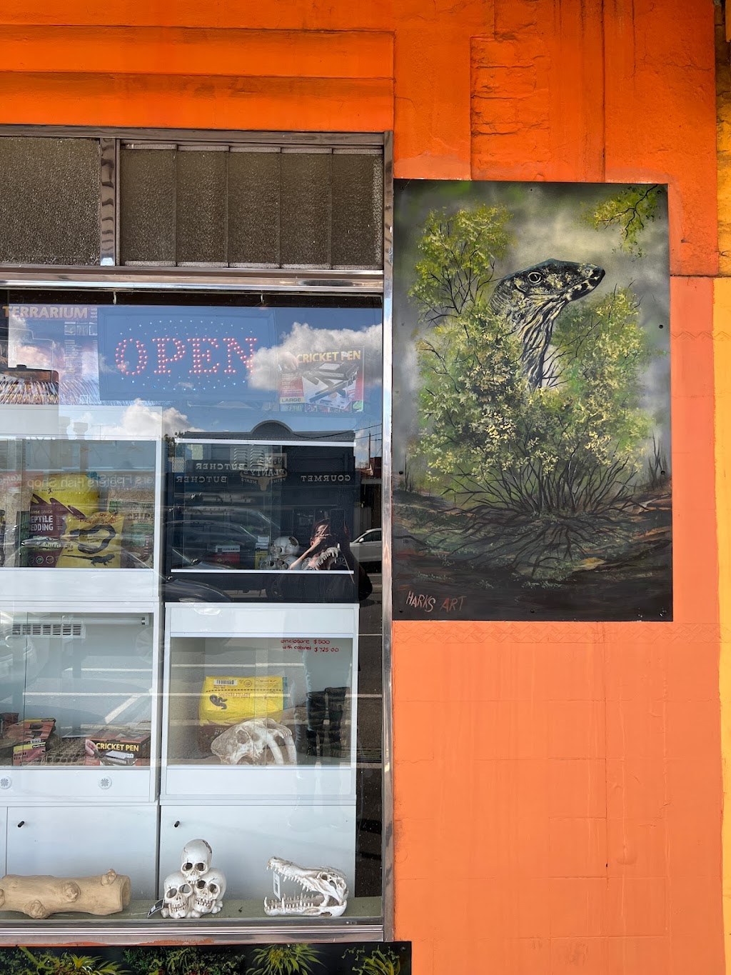 Totally Reptiles Vic Central | Unit 3/12 Lockwood Rd, Kangaroo Flat VIC 3555, Australia | Phone: (03) 5441 5870