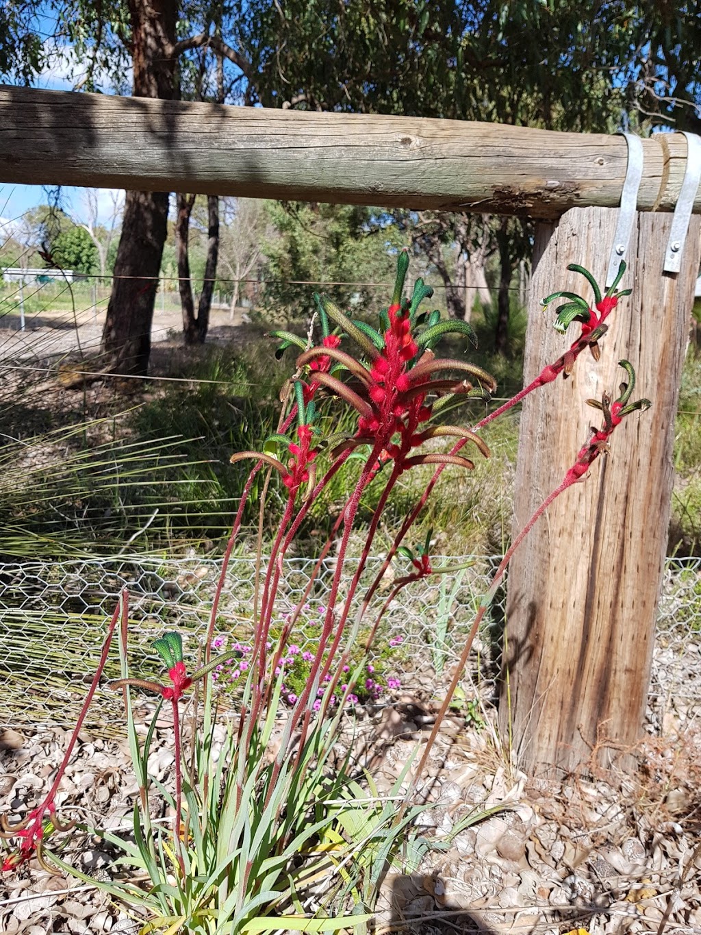 Chittering Visitors Centre | 6180 Great Northern Hwy, Bindoon WA 6502, Australia | Phone: (08) 9576 1100