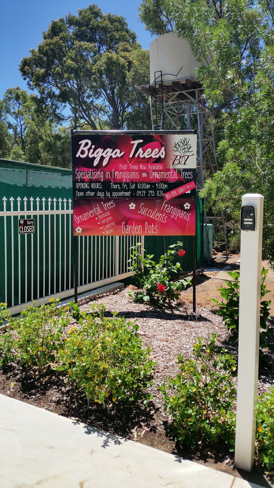 Bigga Trees | 16A Isaacs Rd, Pickering Brook WA 6076, Australia | Phone: 0427 293 826