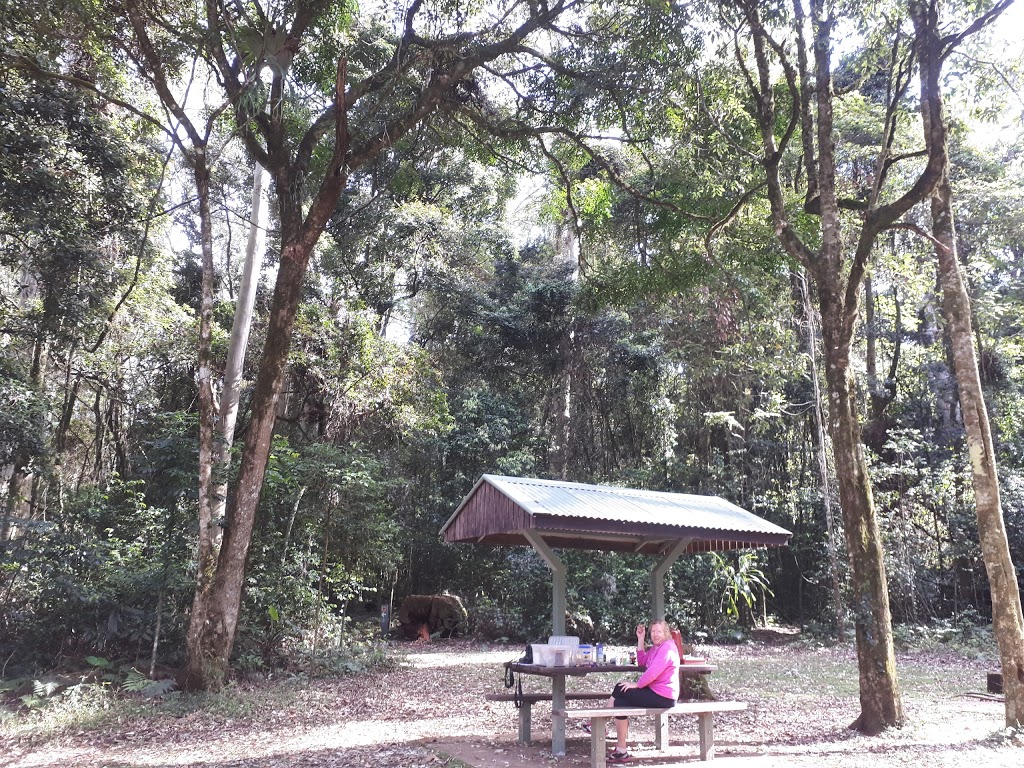 Tooloom National Park | park | Tooloom Rd, Urbenville NSW 2475, Australia | 0266320000 OR +61 2 6632 0000