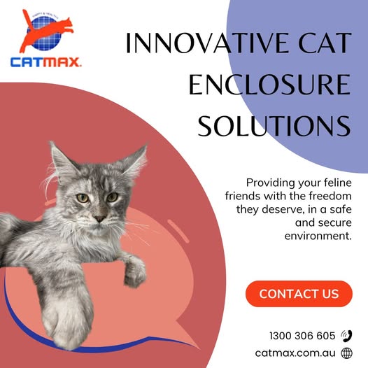 Cat Max Clear Net Enclosures | 11 Sandalwood Dr, Lammermoor QLD 4703, Australia | Phone: 1300 306 605