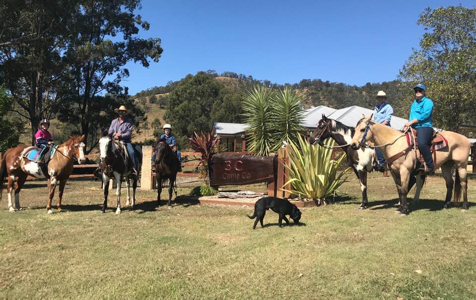 3C Cattle co farmstay | 2118 Kandanga Creek Rd, Upper Kandanga QLD 4570, Australia | Phone: (07) 5484 3446