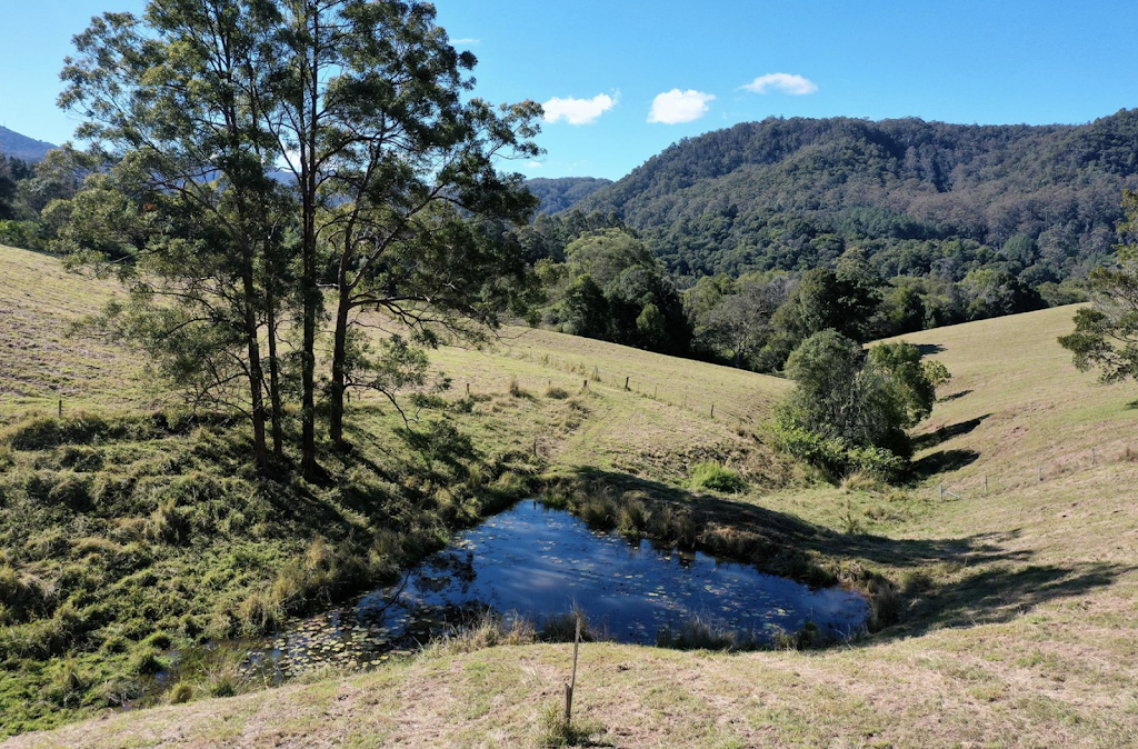 Amari Farms | 1242 Tuntable Creek Rd, Nimbin NSW 2480, Australia | Phone: 0414 785 140